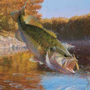 Fishing and Other Sporting Polygraph