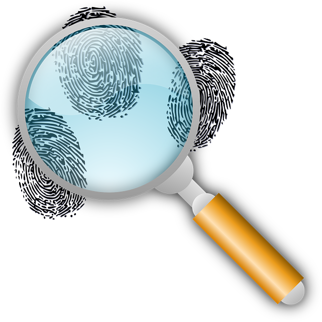 forensic investigations