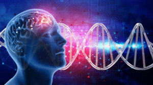 P300 Brainwaves